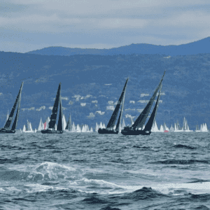 Regata